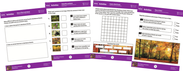 Printable Spark activity