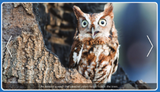 Spark slideshow